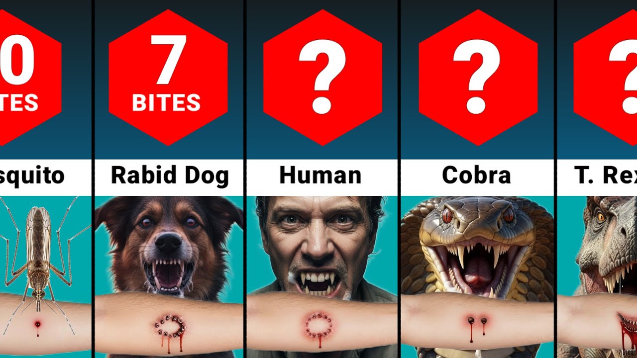 How Many Times to be Bitten to Die?