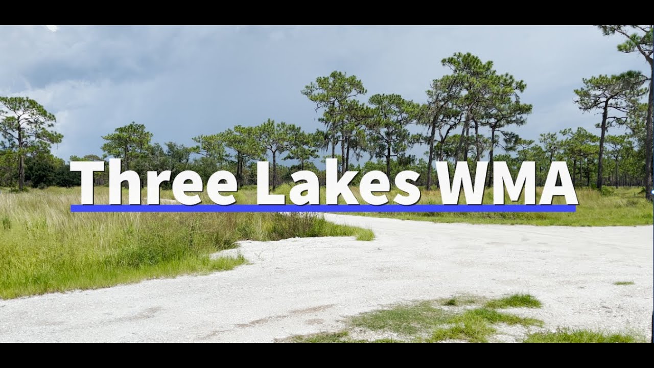 Exploring Three Lakes WMA Florida with Jeep 4xe: Off-Road Adventure Highlights