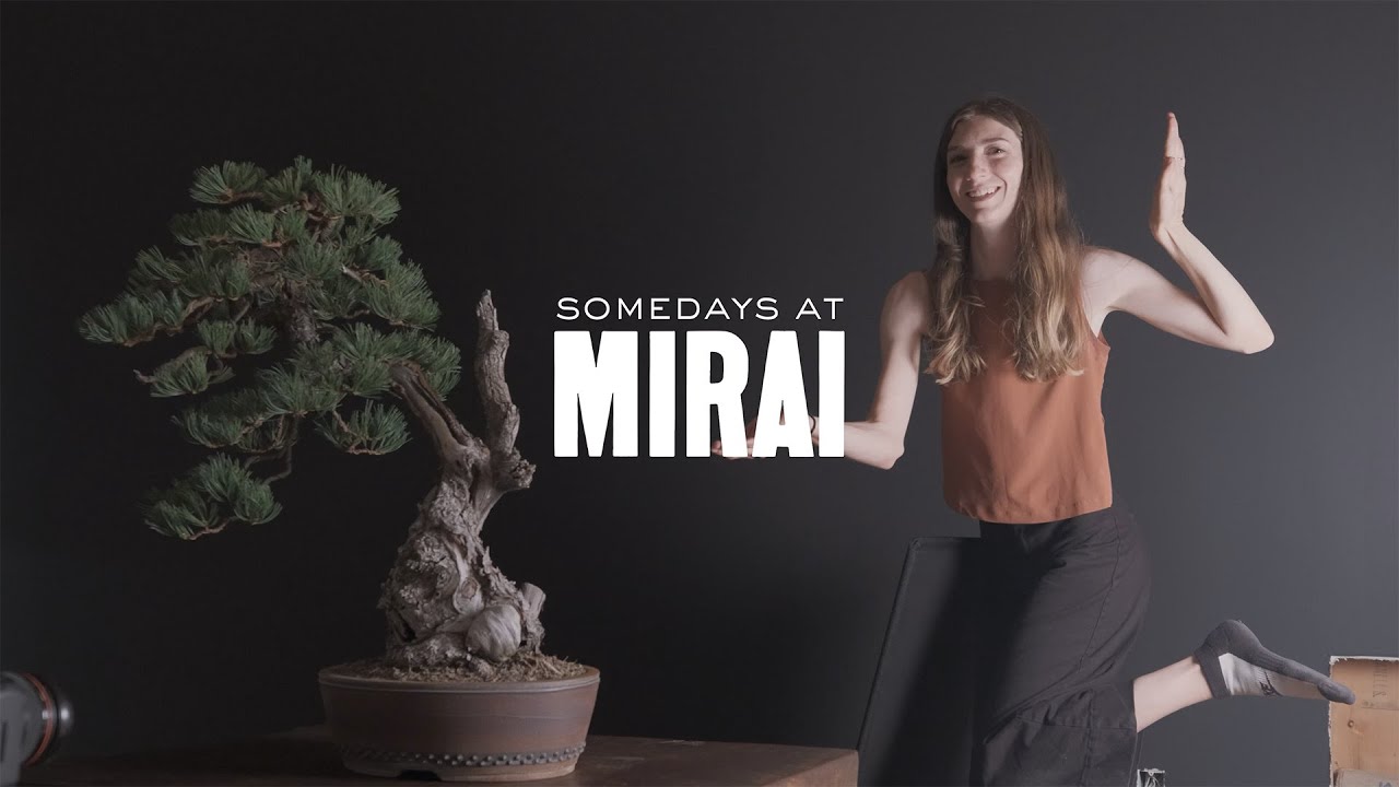 Somedays at Mirai: July