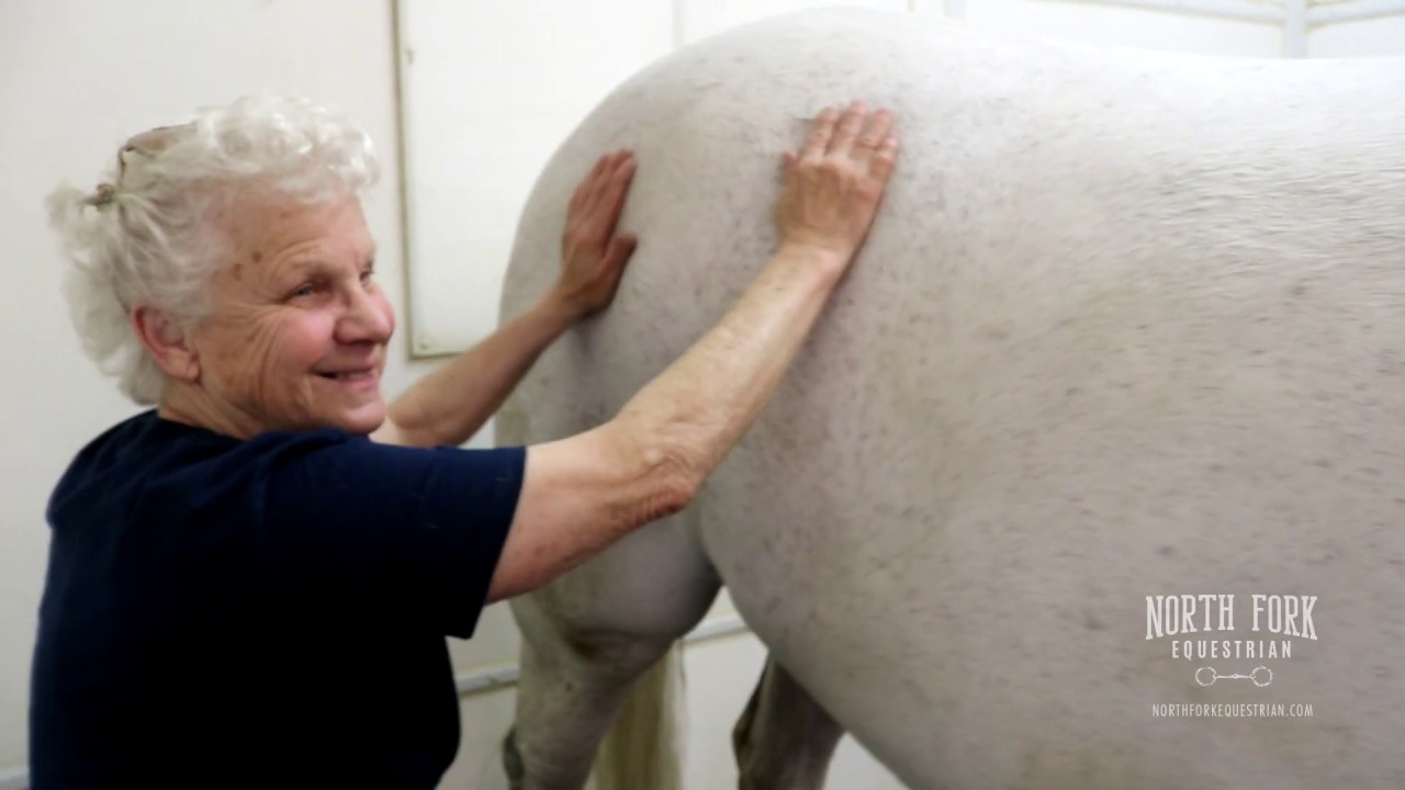 Equine Massage Therapy at North Fork Equestrian