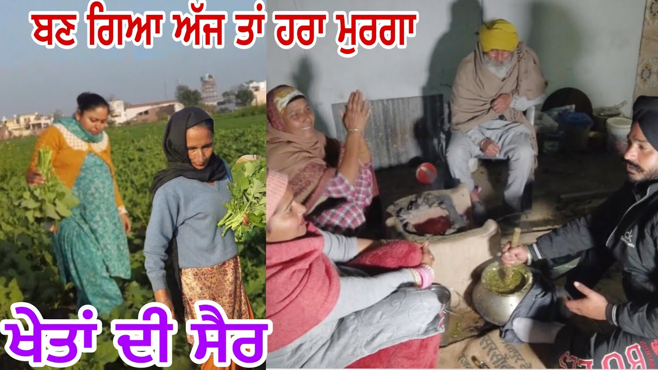ਸਰਦਾਰ ਜੀ ਨੇ ਬੰਨ ਦਿੱਤੇ ਰੰਗ, ਮੰਮੀ ਨੇ ਅੱਜ ਸੁਣਾਈਆਂ ਖਰੀਆਂ ਖਰੀਆਂ ​⁠@jasminmahalvlogs7754