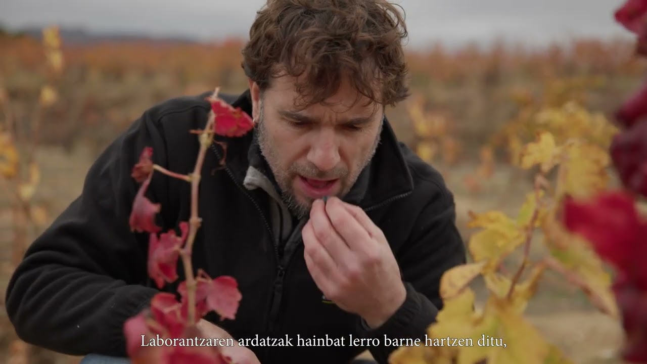 Ardogintza sektore lehiakorrago, jasangarriago eta kalitate handikoago baterantz