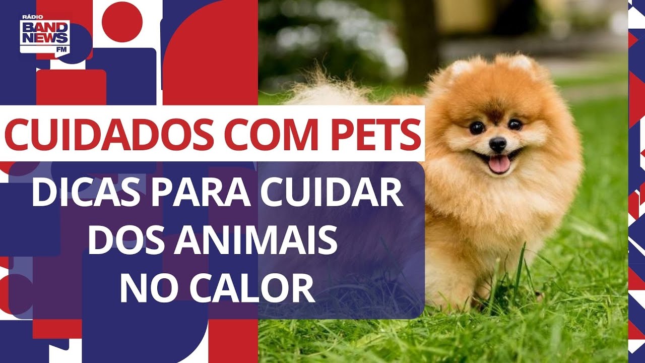 Dicas para cuidar dos pets no calor&atilde;o | Manu Karsten
