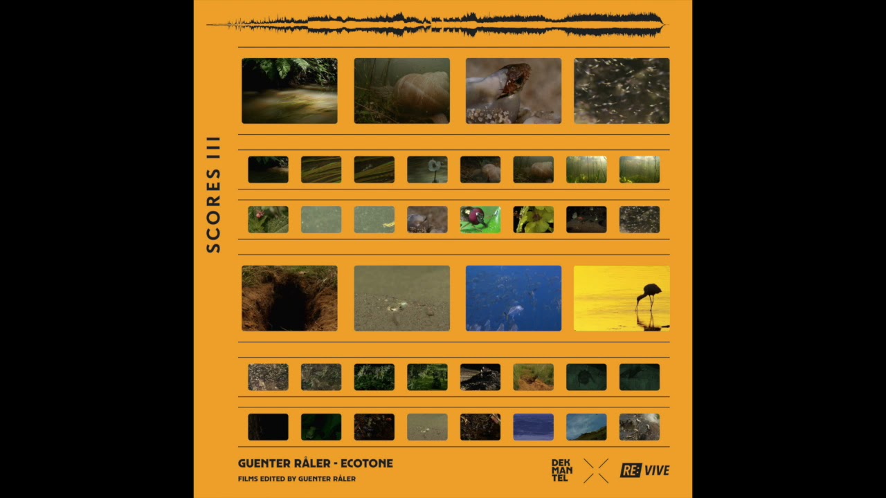 Guenter R&aring;ler - Ecotone (DKMNTL069)