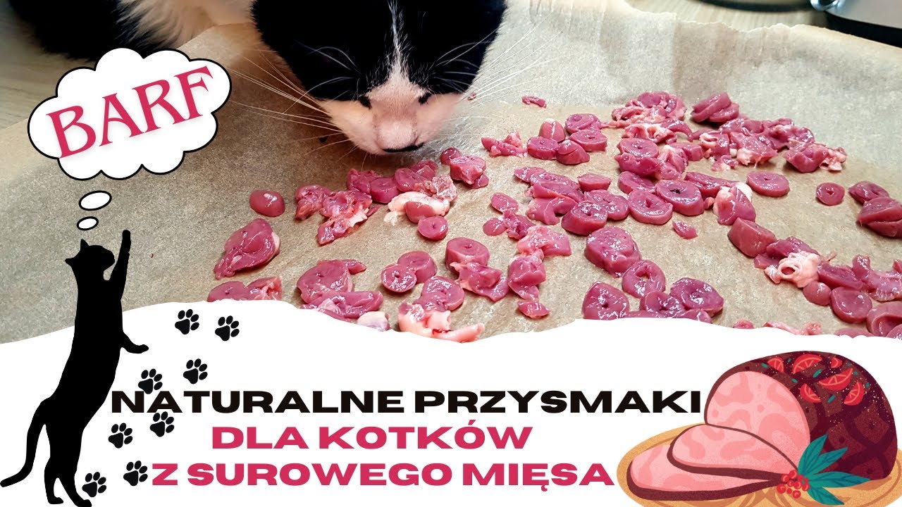 Zdrowa dieta BARF dla kota naturalne przysmaki z surowego mięsa podrob&oacute;w prawidłowe żywienie