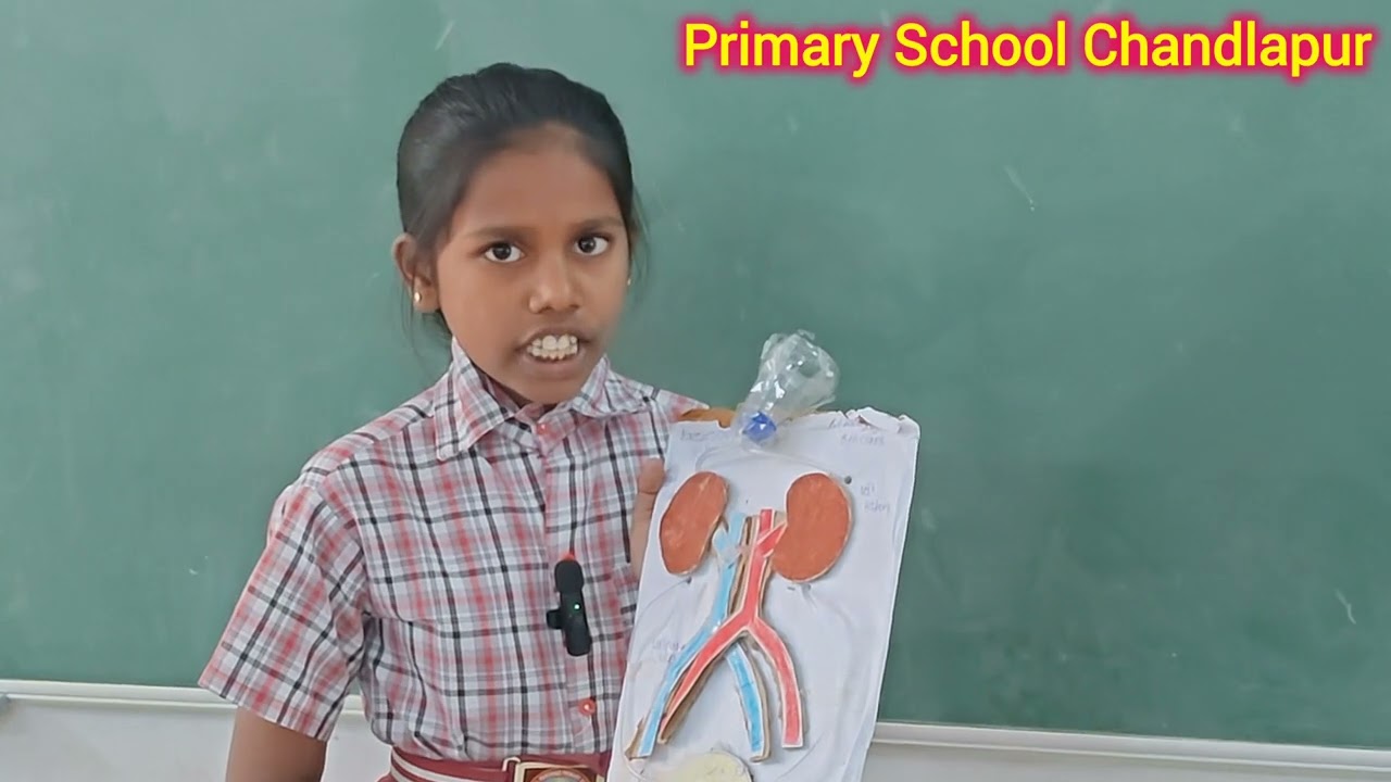 Pranaya telling about Kidneys 