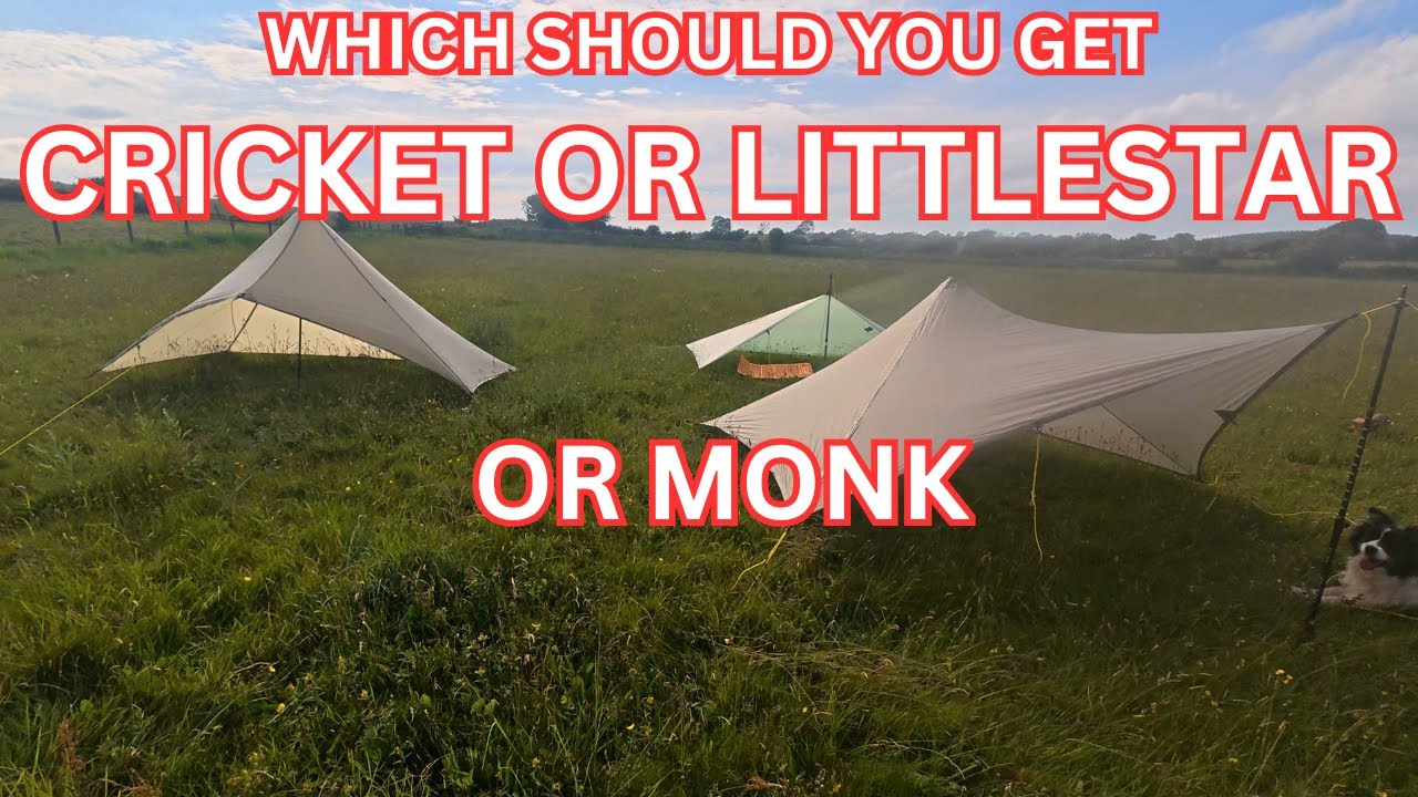 MLD Cricket vs LittleStar vs Monk! Which WILL YOU Choose