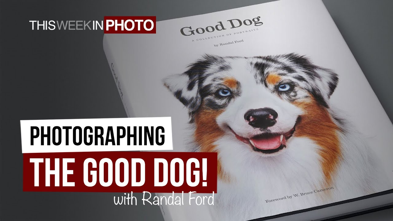 Photographing The Good Dog!