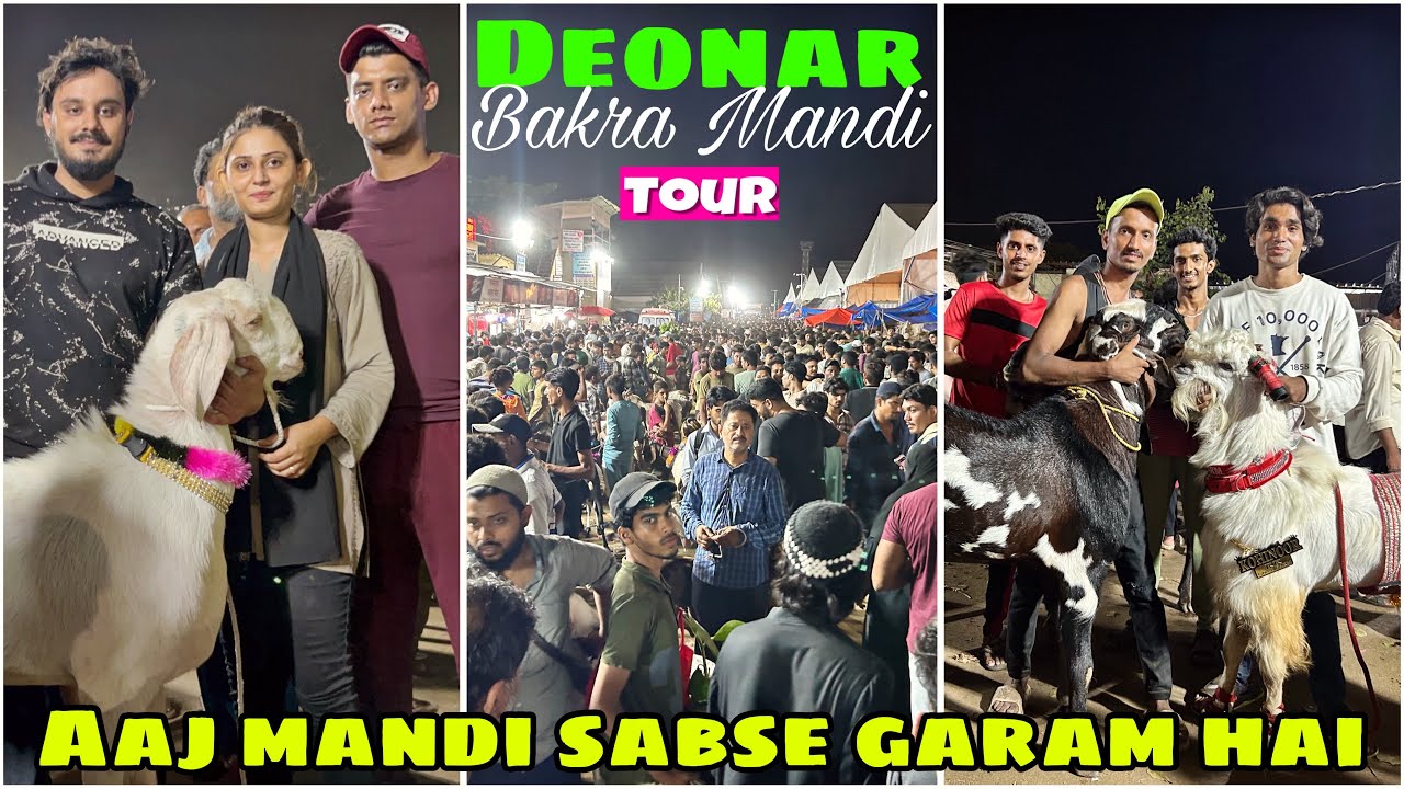 Deonar bakra mandi huyi garam aur bakre zoro mein bikk rahe hai DAY 9 tour full update