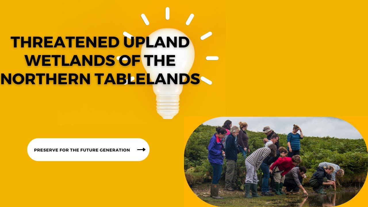 #Threatened #upland #wetlands of the #Northern #Tablelands