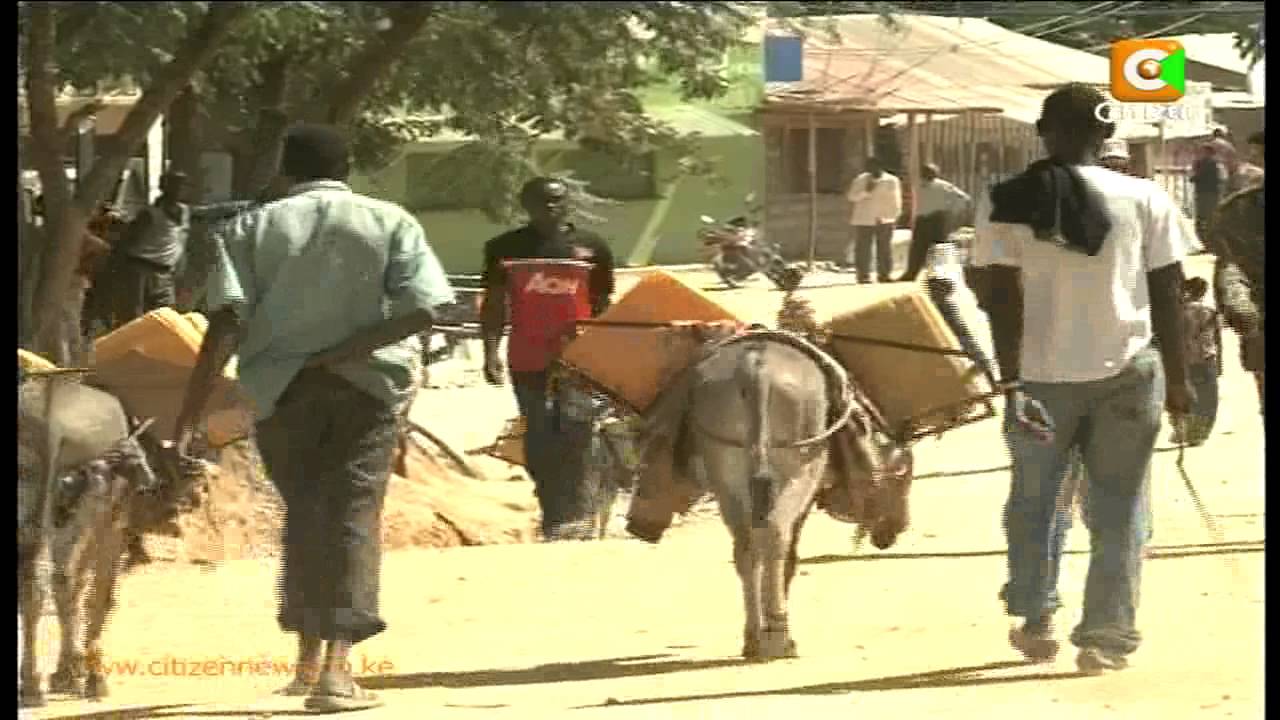 More Than 10 People Killed Fresh Moyale Clashes