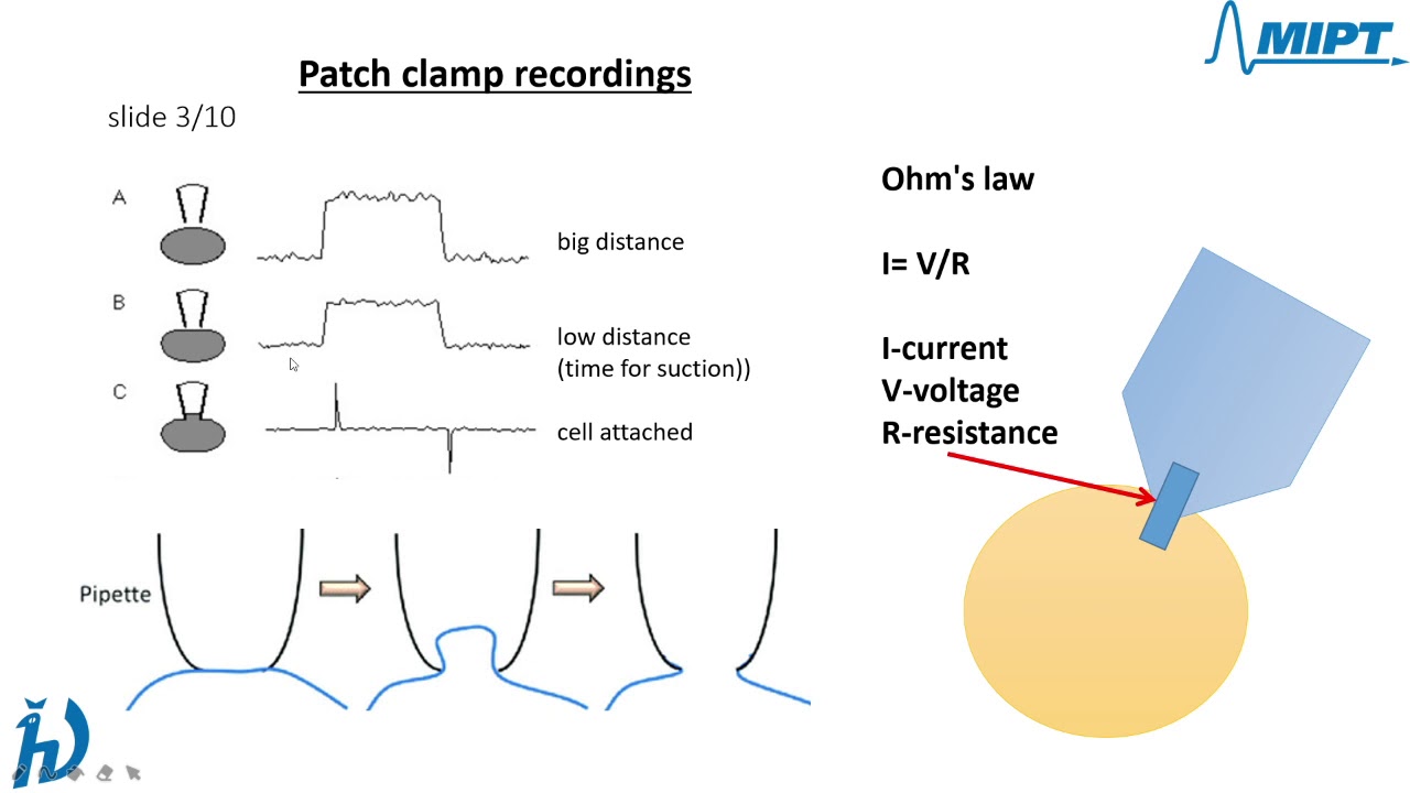 Patch clamp