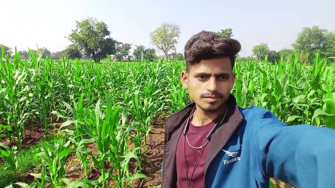 My village life ☘️ 🌍  