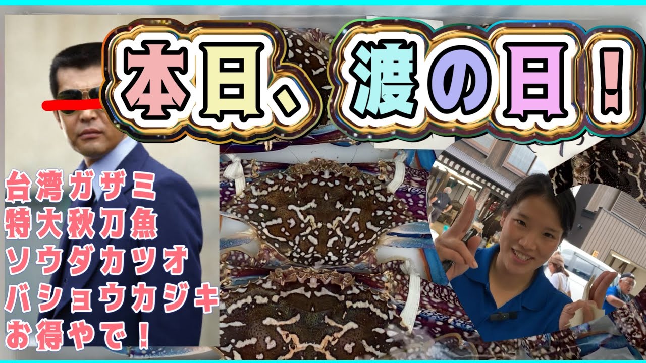 『本日、渡の日！松竹梅〜（ソウダカツオ、台湾ガザミ、特大秋刀魚）』#激安  #魚屋　#相木魚問屋 #敦賀   7/9/13