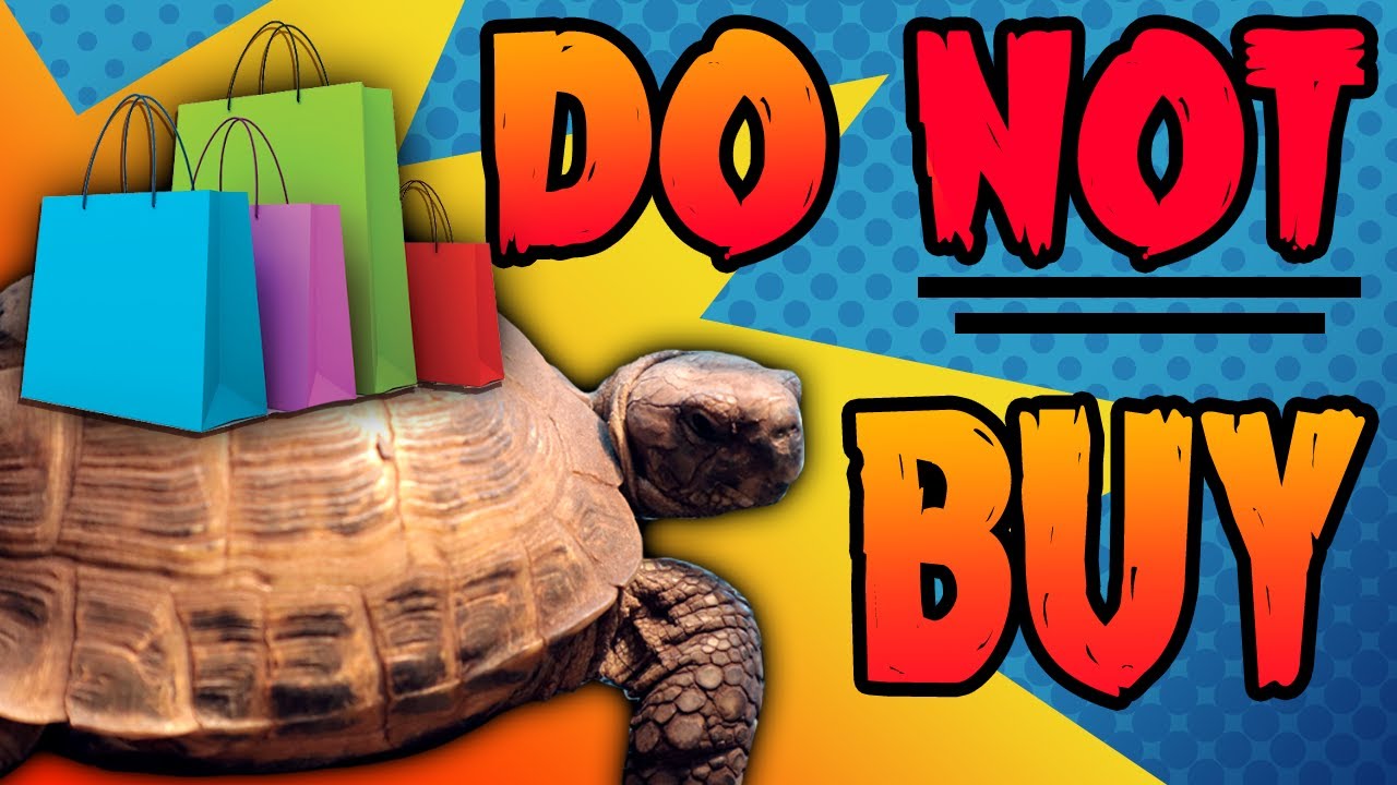 WAIT! DON'T BUY THESE!! What NOT To Buy For Your Russian Tortoise!