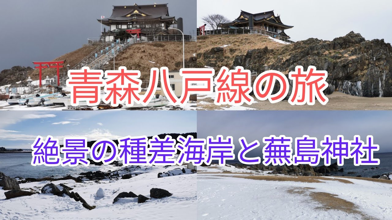 冬の青森八戸線の旅（絶景の種差海岸・蕪島神社）