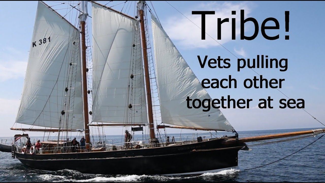 TRIBE  Turn to Starboard