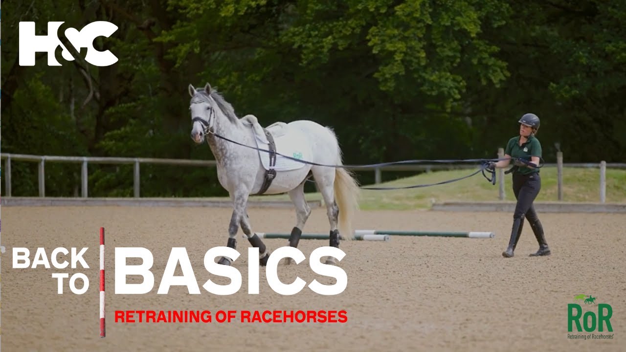 Groundwork Exercise For Retraining Racehorses | Back To Basics: Retaining of Racehorses