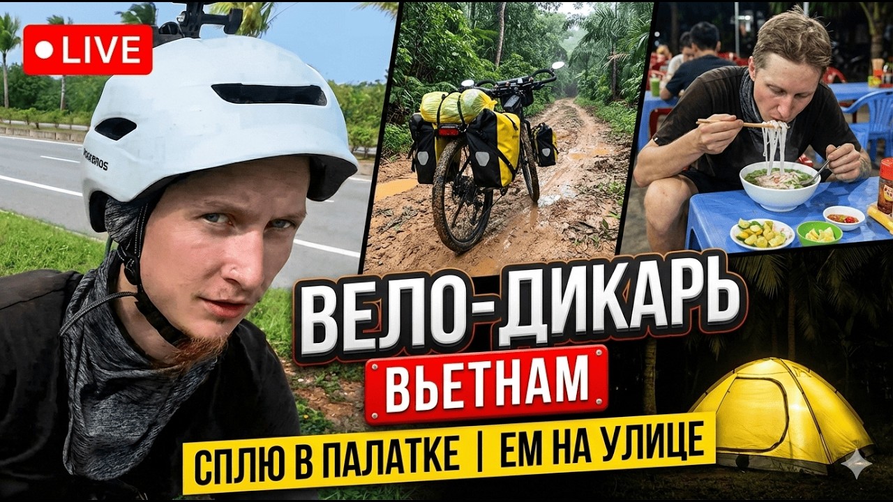 ВЬЕТНАМ на велосипеде: Живу в палатке. Цены на уличную еду 2026