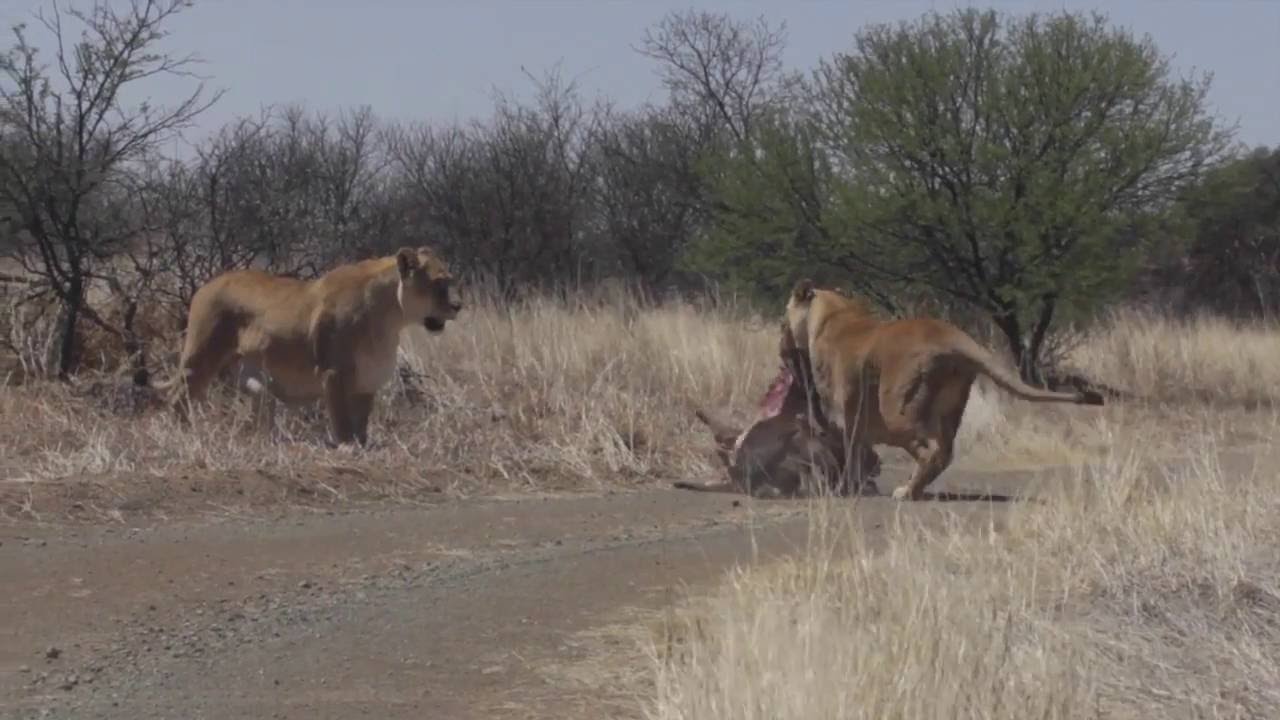 Visit Free State Province Resorts & Reserves