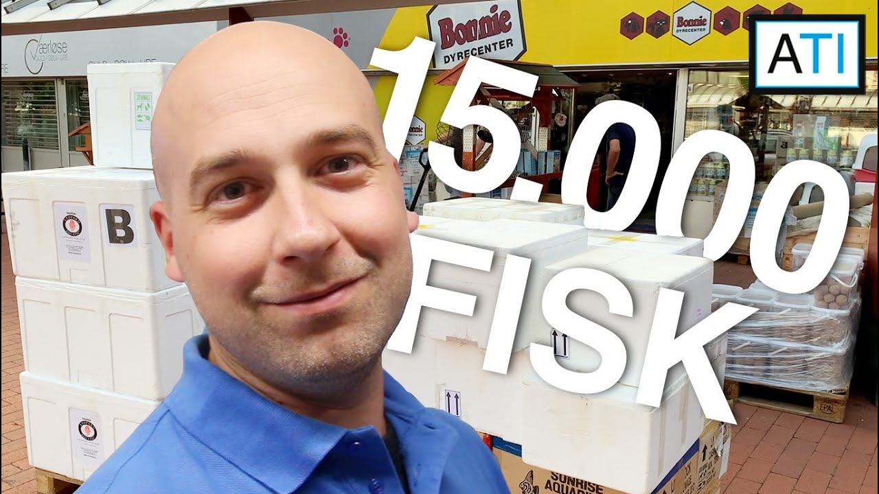 15.000 nye fisk i Bonnie Værløse - September 2021