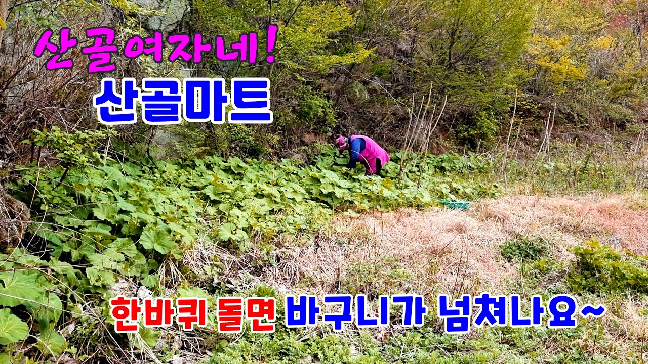 산골여자네 산골마트! 친환경 먹거리가 넘쳐나요~