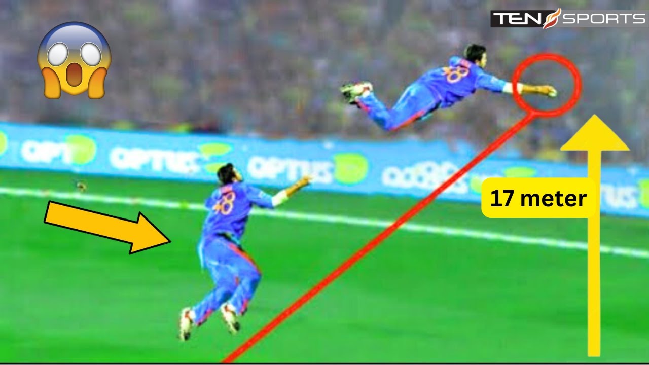 10 Most Shocking Catch in Cricket | Best Fielding Moments Ever