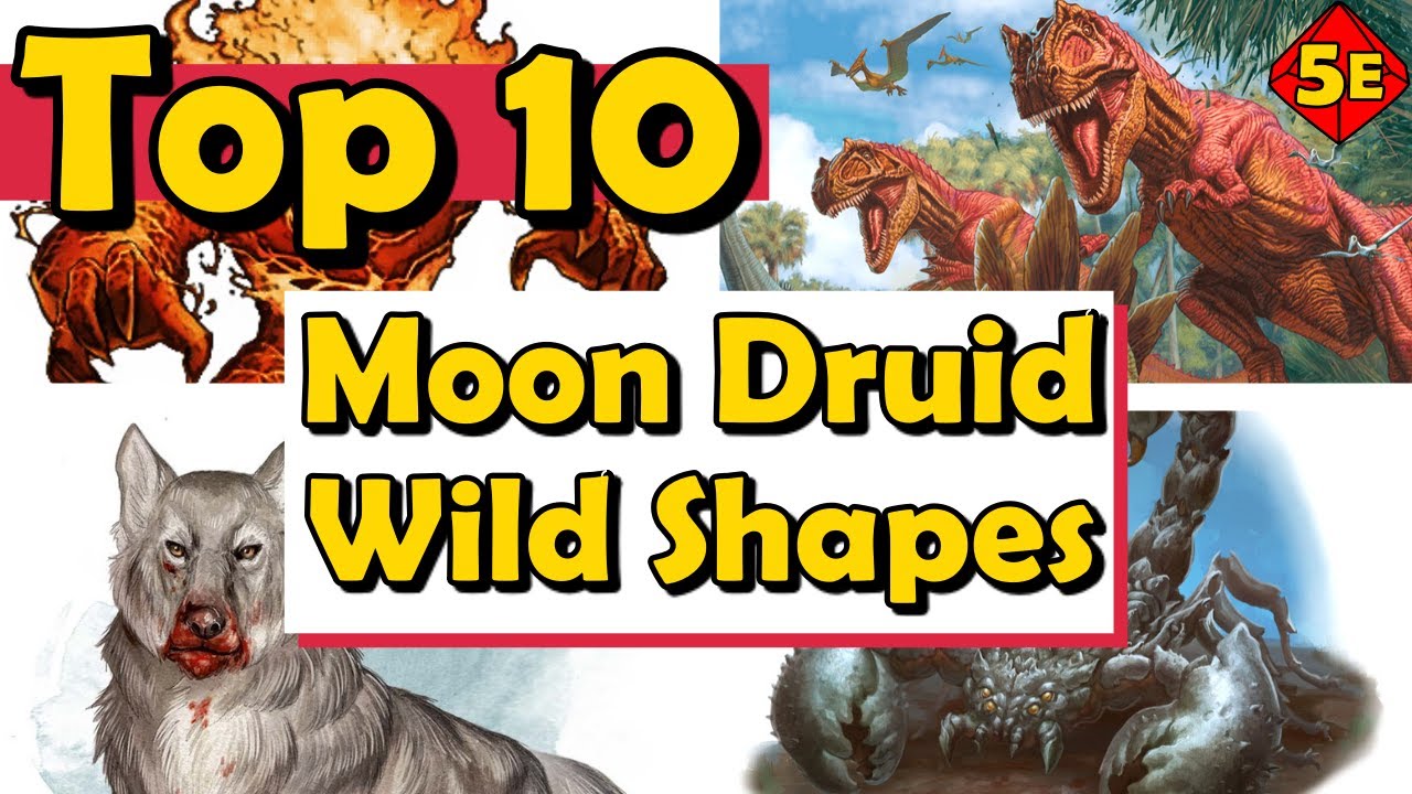 Top 10 Best Moon Druid Wild Shapes in DnD 5E