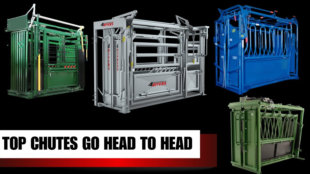 Which cattle chute is best for your farm?