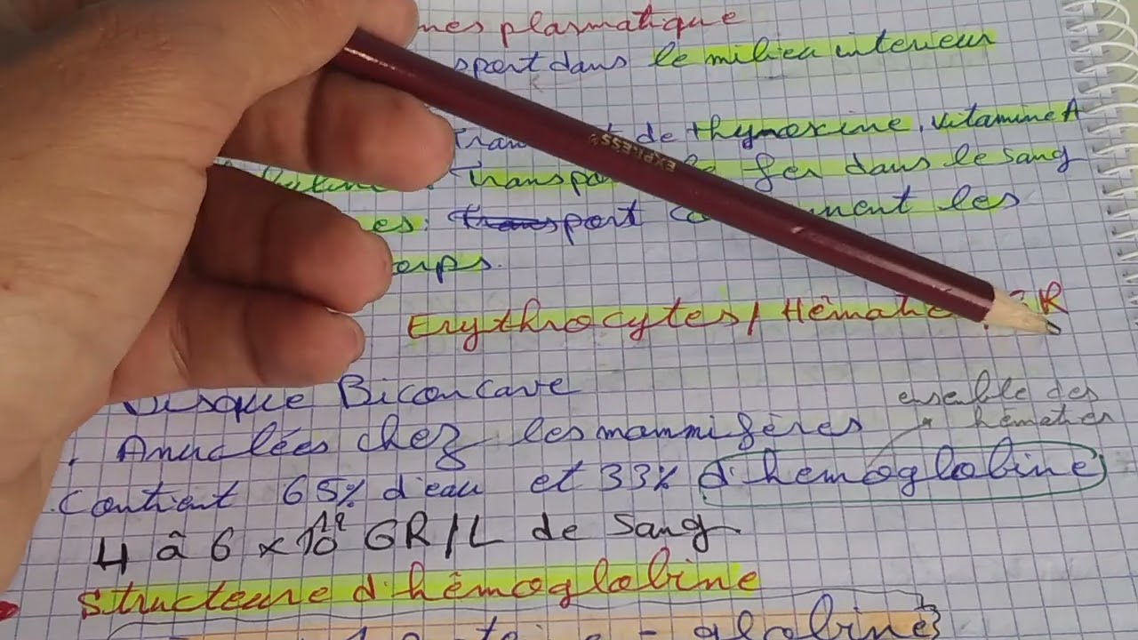 physiologie animale s4 sv :le sang en arabe (résumé)