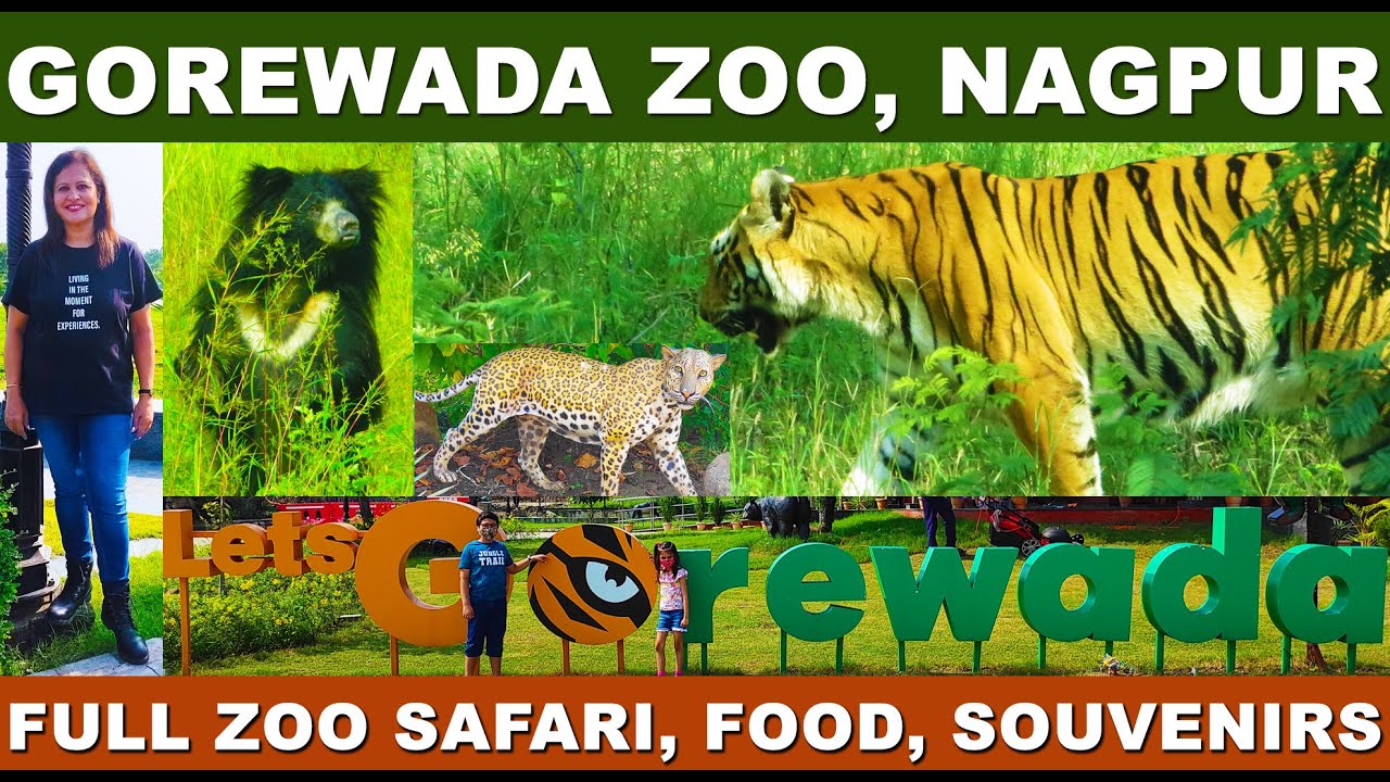 Gorewada International Zoological Park, Nagpur - Zoo Safari, Full Tour, Restaurant, Souvenir Shop
