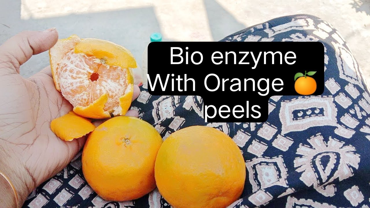 मक्खी मच्छर बदबू को दूर रखेंगे घर से 👍 make bioenzym with Orange 🍊 peels 