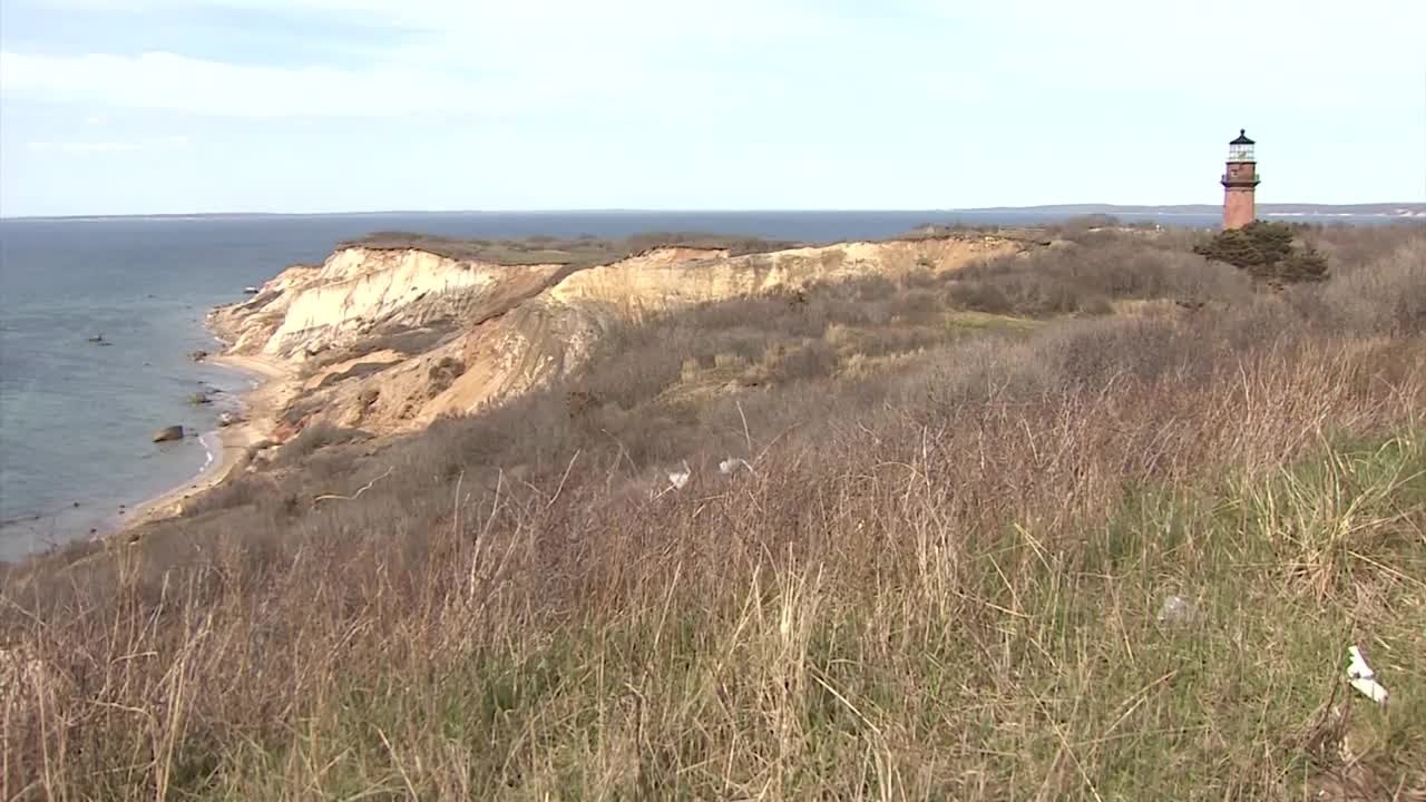CityLine: A book confronting ideas of indigenous land and identity