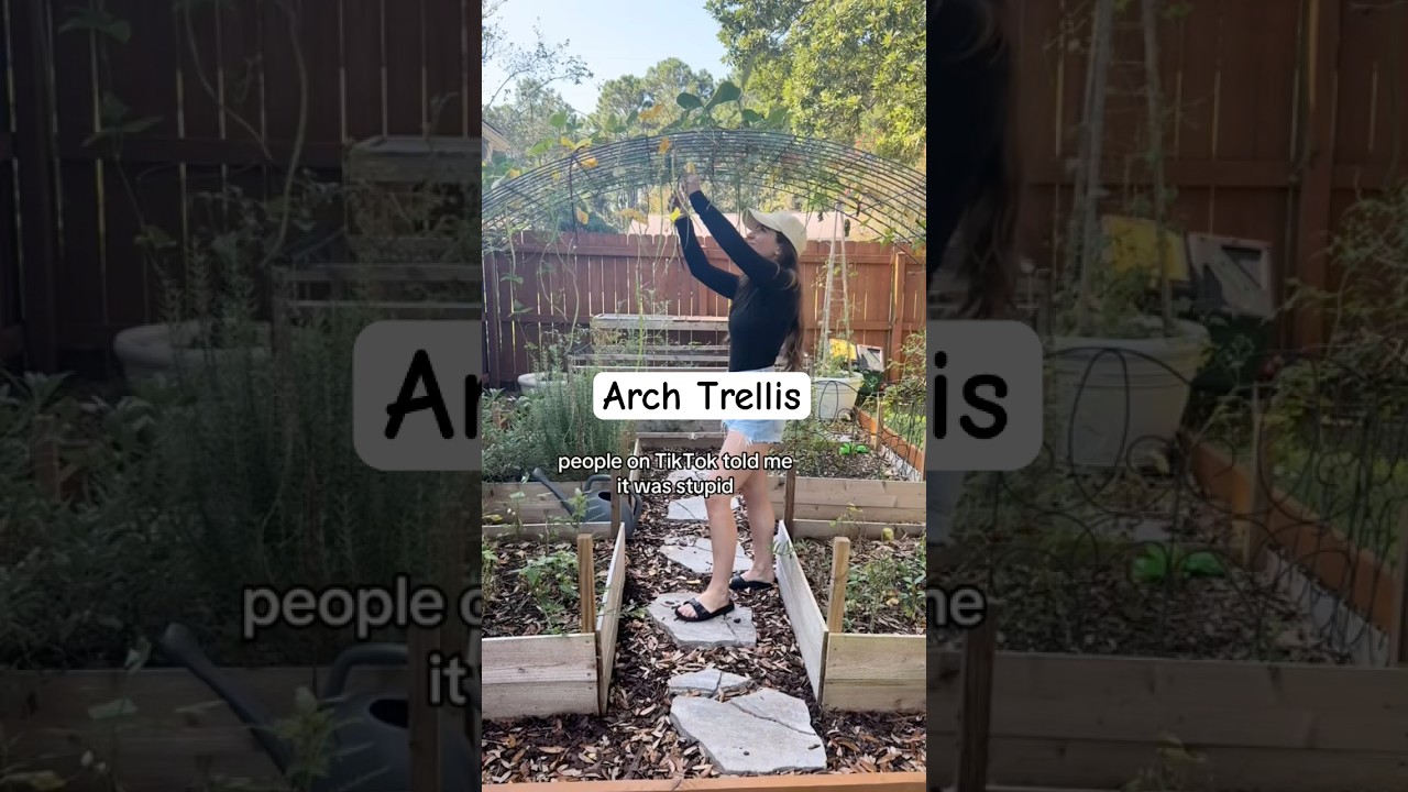 I love my mini arch trellis🪴👩&zwj;🌾#gardendiy #diy #trellis