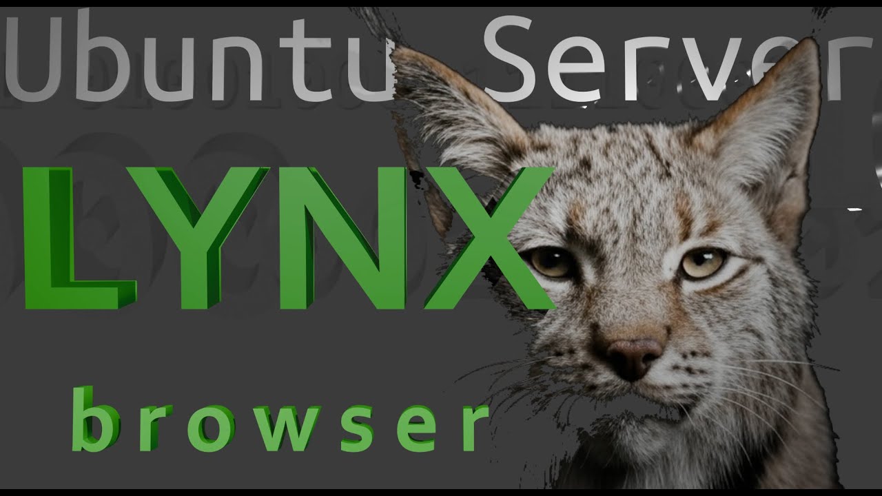 Консольный LYNX браузер в Ubuntu Server    #64