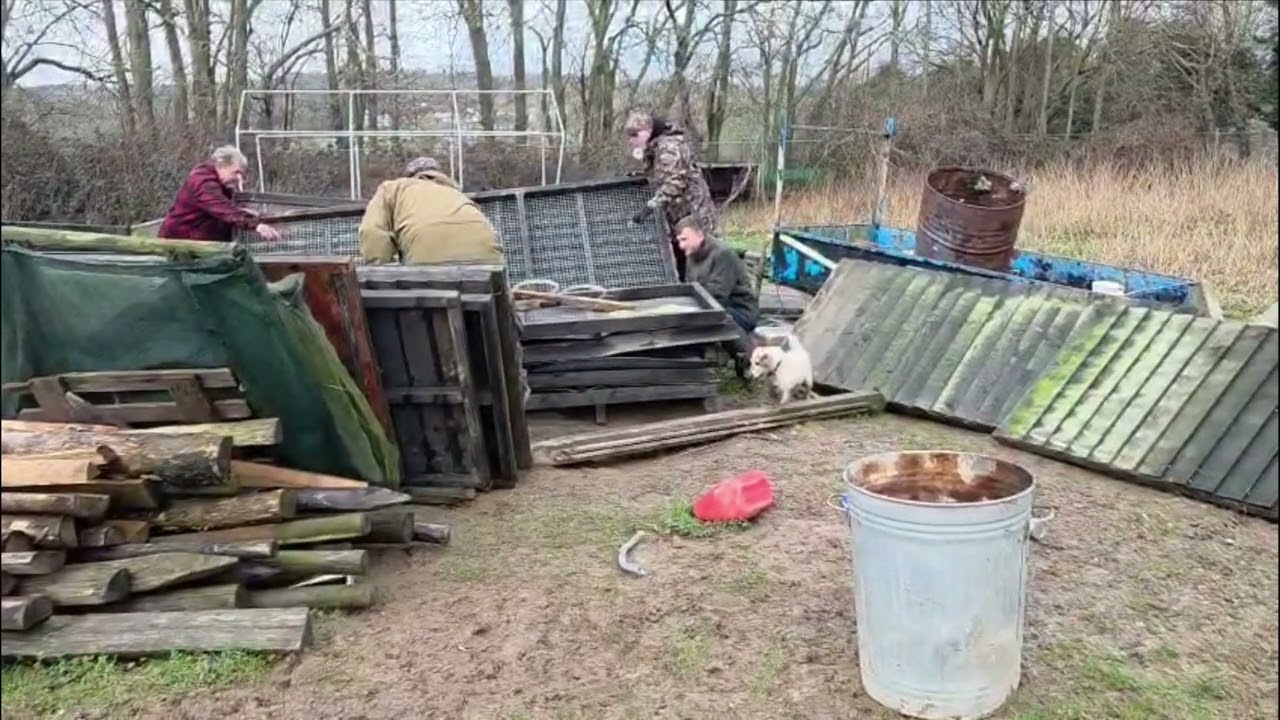 Days ratting on a chicken rescue 