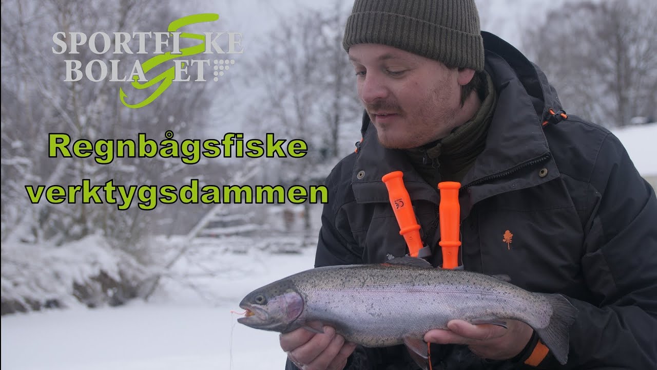 Regnbågsfiske Verktygsdammen.