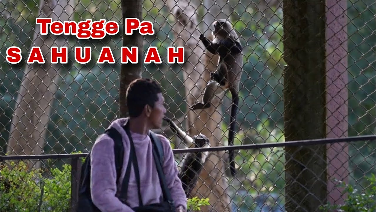 Tengge Pa Sahuan ah a kal chawrh mai le...