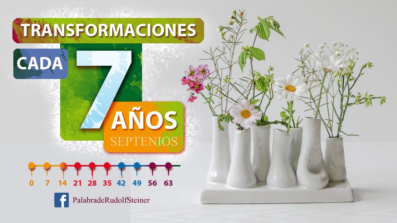 Transformaciones cada siete años. Septenios.
