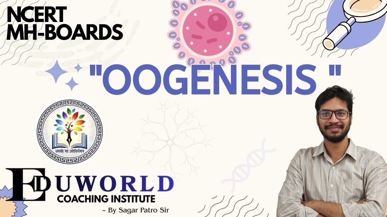 OOGENESIS | Class 12 | Human Reproduction | Sagar Patro Sir | NCERT and MH-BOARDS