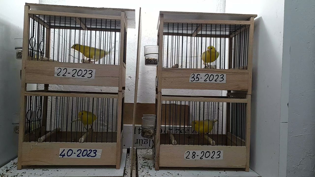 4 Aralık 2023