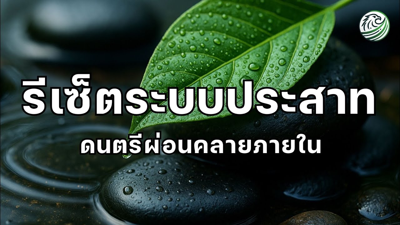 ดนตรีรีเซ็ตระบบประสาท รีเซ็ตคลื่นประสาทให้กลับสู่ความนิ่งสงบ ดนตรีความถี่ต่ำ ดนตรีผ่อนคลายภายใน