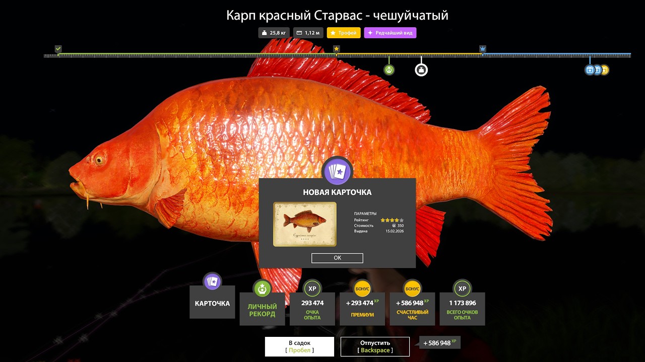ЛУЧШИЕ РАЗДАЧИ и ФАРМ СЕРЕБРА в РР4 • ТОП ФАРМ на МЕДНОМ ОЗЕРЕ и КАРПЫ на ЯНТАРНОМ ОЗЕРЕ + МОРЕ!