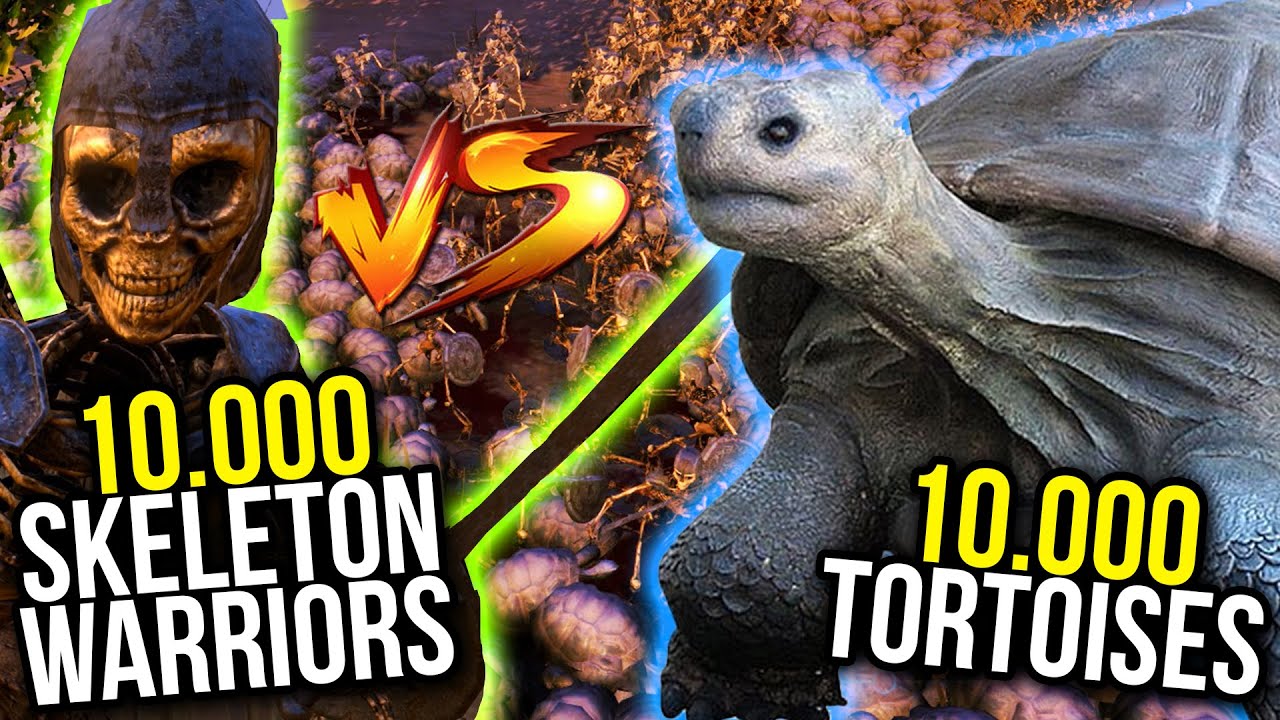 10.000 SKELETON WARRIORS vs 10.000 TORTOISES & 1.000 ARCHER | UEBS Gameplay