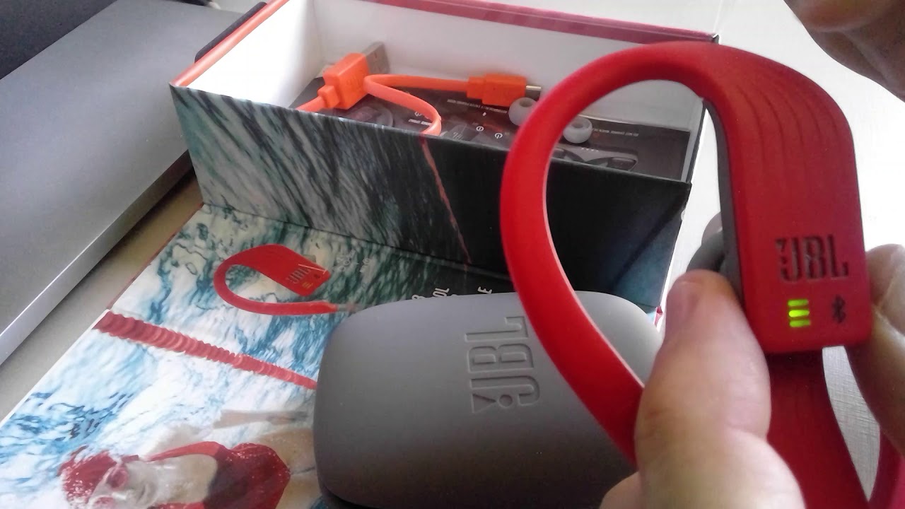 REVIEW JBL ENDURANCE DIVE