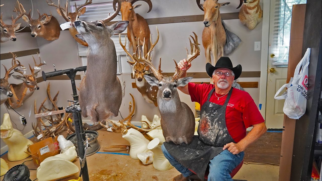 How To Finish A Whitetail Deer Shoulder Mount! Taxidermy Work At Long Tine Taxidermy!
