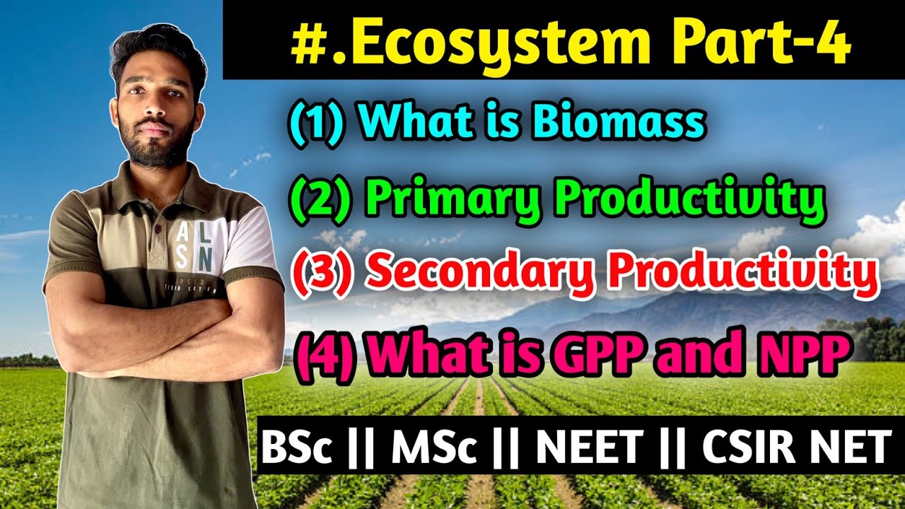 Ecosystem Part-4 || Biomass || Primary and Secondary Productivity || GPP and NPP || MSc || CSIR NET