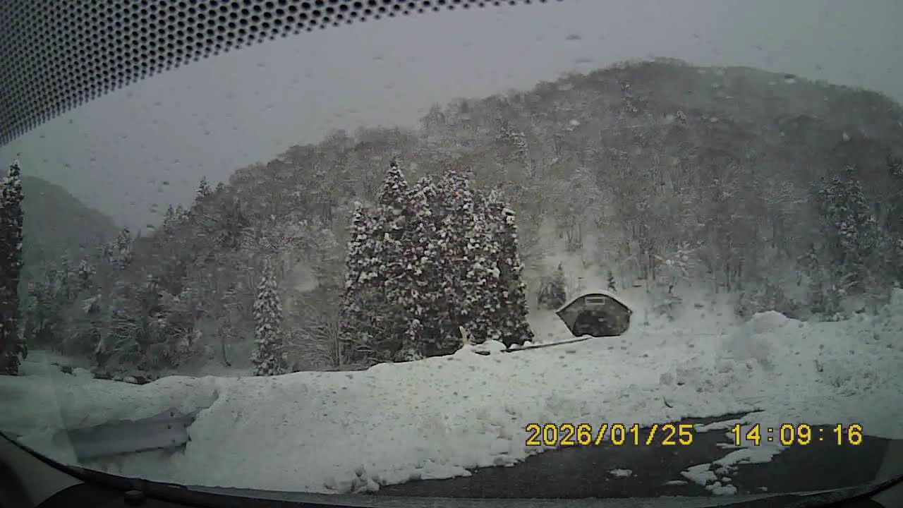 2026.01.25 雪降りしきる余呉　菅並から北海道トンネルへ　新雪の木々を眺めながらのスノードライブ