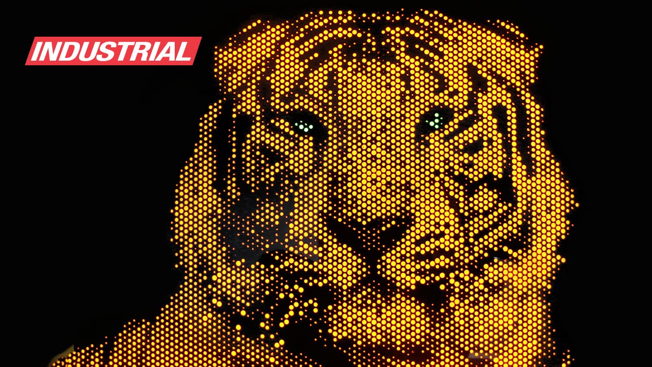 CNC Project: LED Light Art Acrylic Tiger w/Amana Tool Solid Carbide Spiral 'O' Flute Router Bits