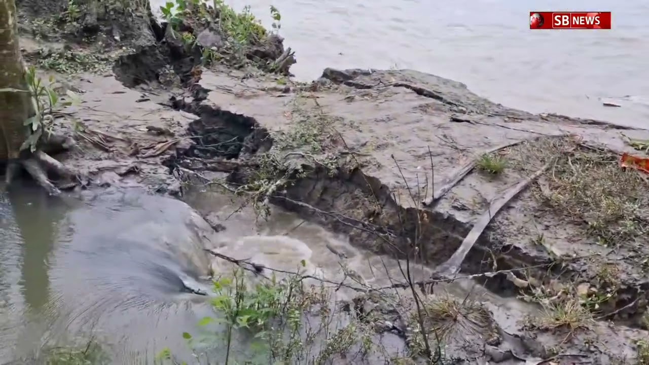 বরিশাল মেহেদীগঞ্জ সাদেকপুর ৫নং সদর ইউনিয়ন নদী ভাঙ্গন নিঃস্ব হয়েছে অনেক পরিবার SB NEWS
